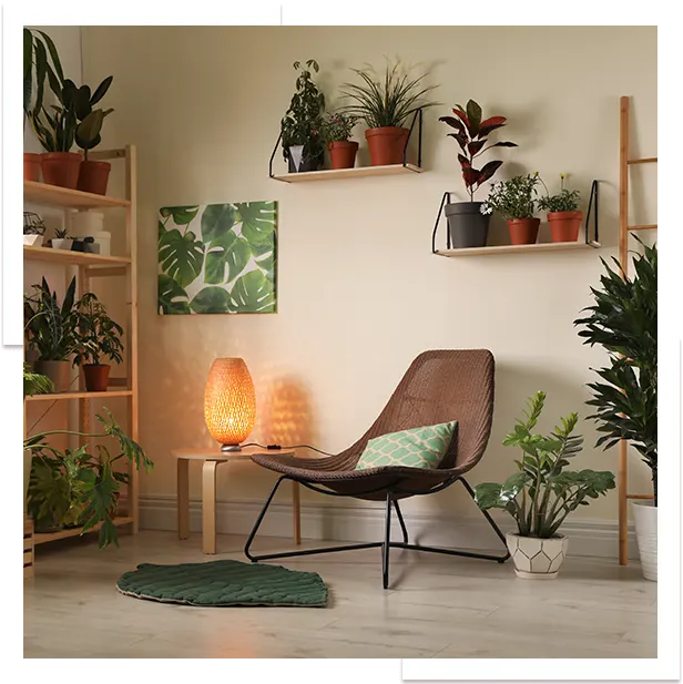 Creer un interieur vivant et accueillant grace aux plantes