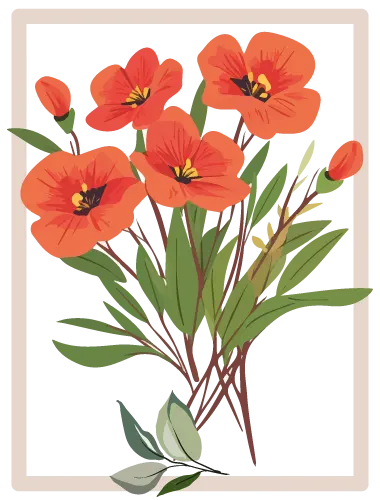 Les-fleurs-annuelles