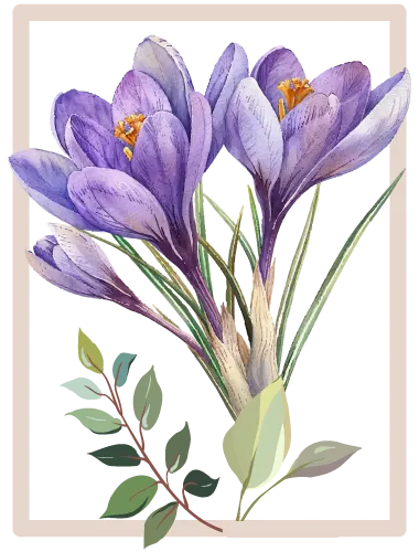 Les-fleurs-bulbeuses