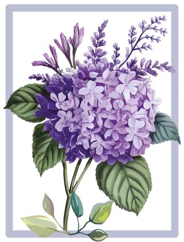 Les-fleurs-vivaces