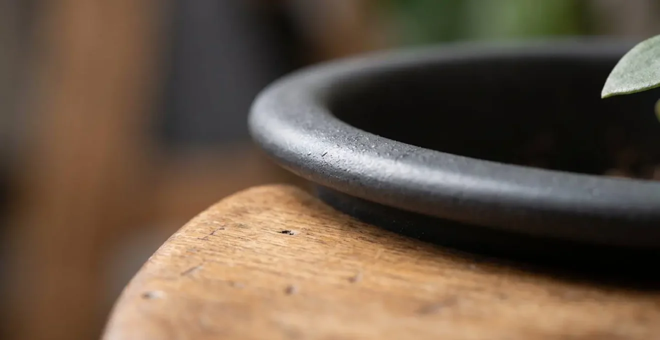 Gros plan sur un systeme de double-pot avec cache-pot etanche protégeant un meuble en bois ancien