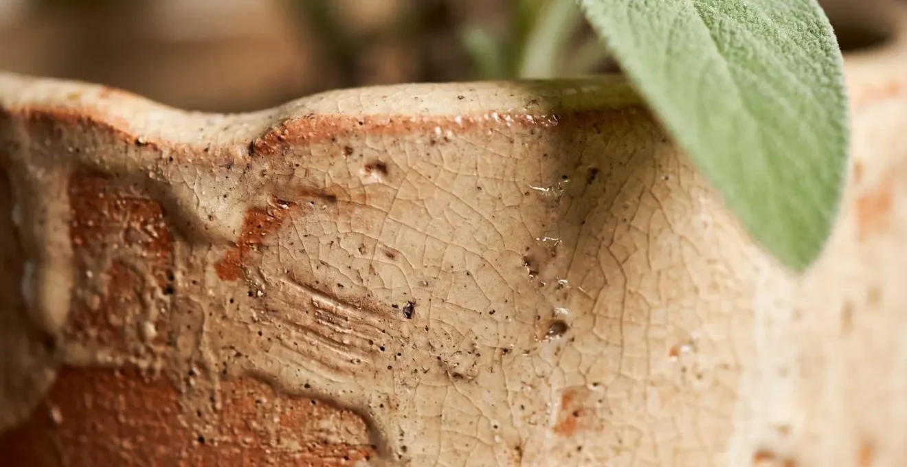Gros plan macro sur cache-pot en céramique artisanale française avec textures naturelles et plante verte