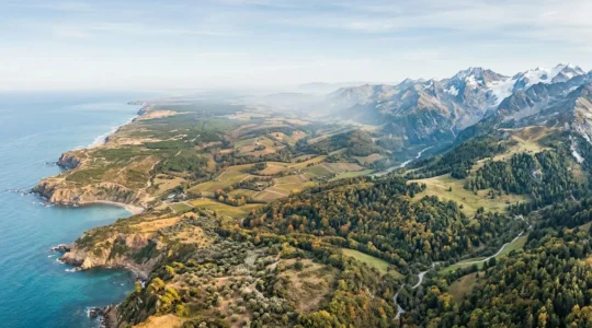 Carte stylisée des zones de rusticité en France avec végétation caractéristique de chaque région climatique