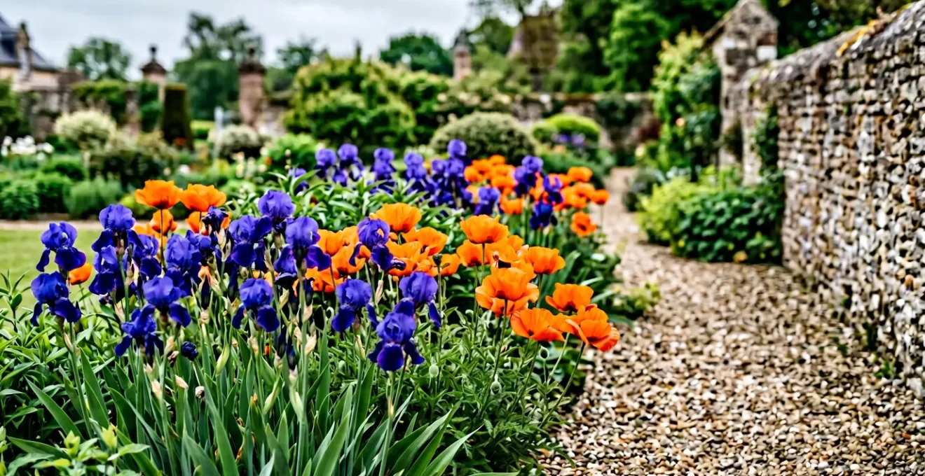 Composition florale illustrant les principes du cercle chromatique avec des fleurs bleues et orangées dans un jardin français