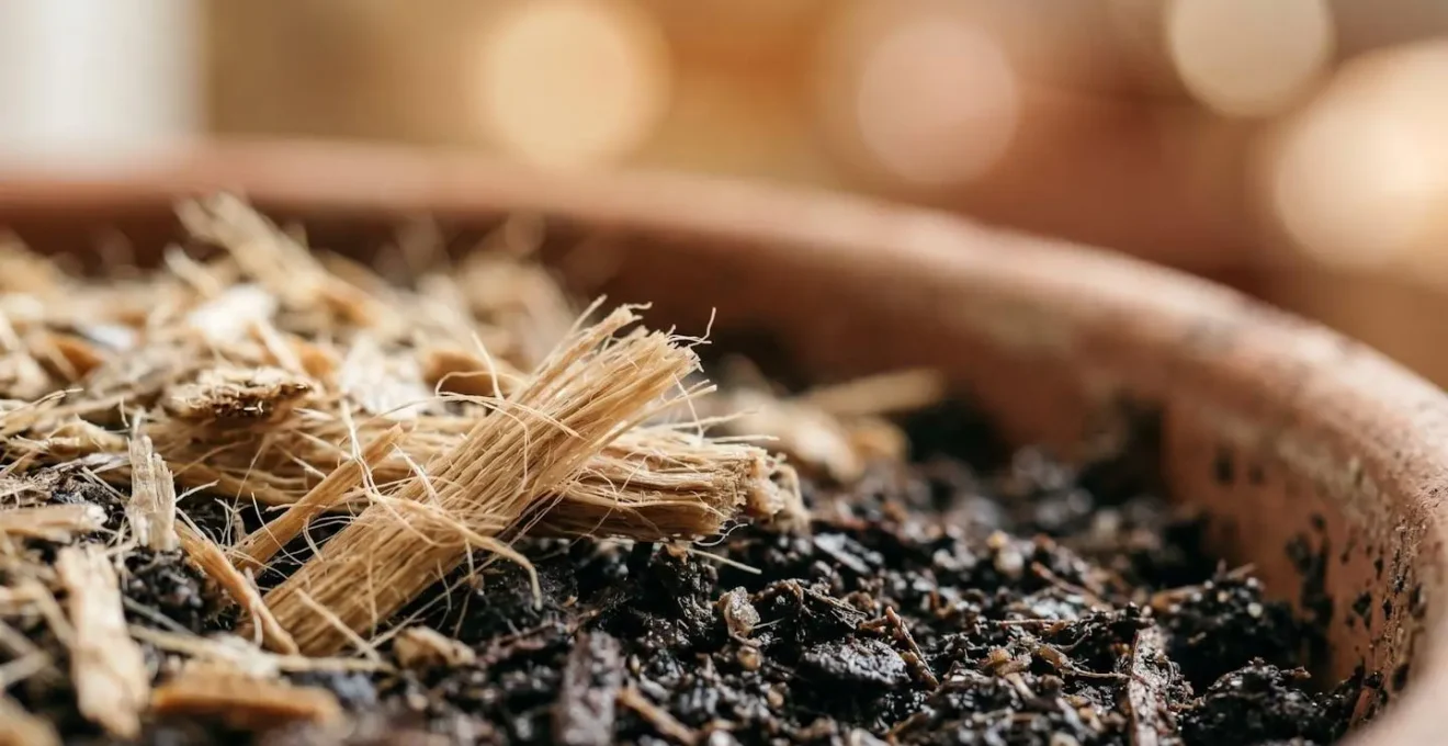 Gros plan texturé sur paillage organique et substrat pour plantes en pot