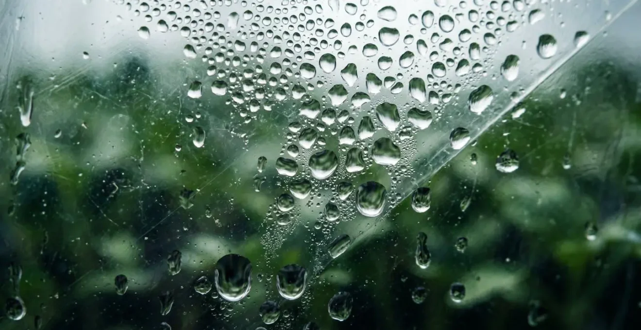 Gouttelettes de condensation sur paroi transparente de mini-serre artisanale avec jeunes pousses floues en arriere-plan