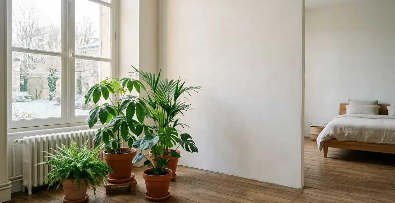 Plantes d'intérieur dans une chambre lumineuse créant un microclimat humide en hiver