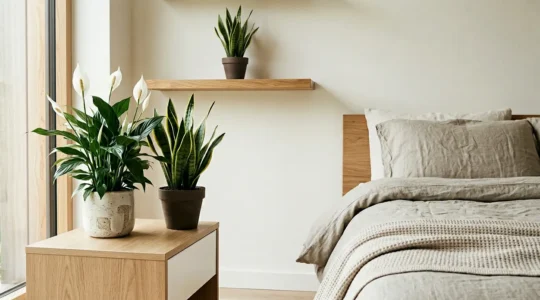Scène éditoriale d'une chambre contemporaine avec plantes dépolluantes sur table de chevet et étagère